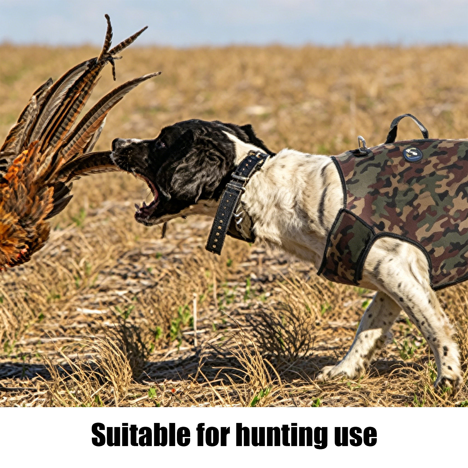 Roupas de Cão para Caça em Cam - Outdoor Hunting Hoodie avaliação e preço