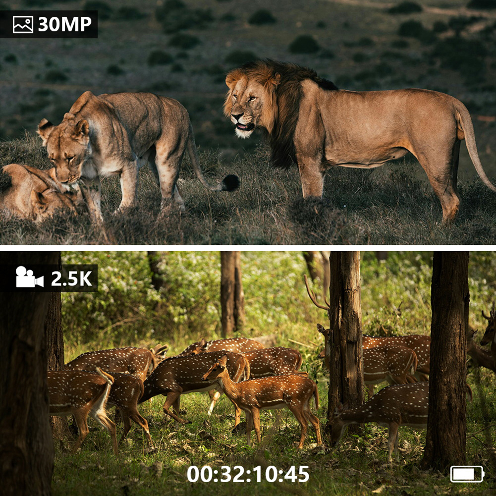Dispositivo digital de visão n - Hunting Outdoor Day avaliação e preço